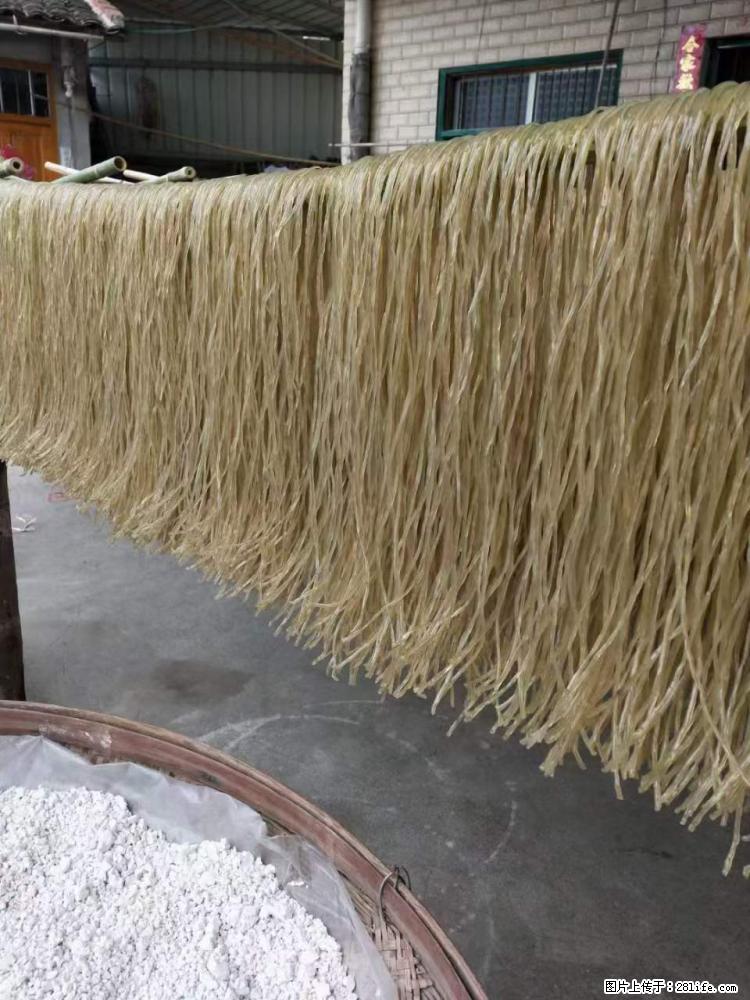 【灌阳正宗红薯粉】美女家里自己做的，干净卫生，假一赔十，价格合理，抢购电话：13737312895 - 美食天地 - 舟山生活社区 - 舟山28生活网 zhoushan.28life.net