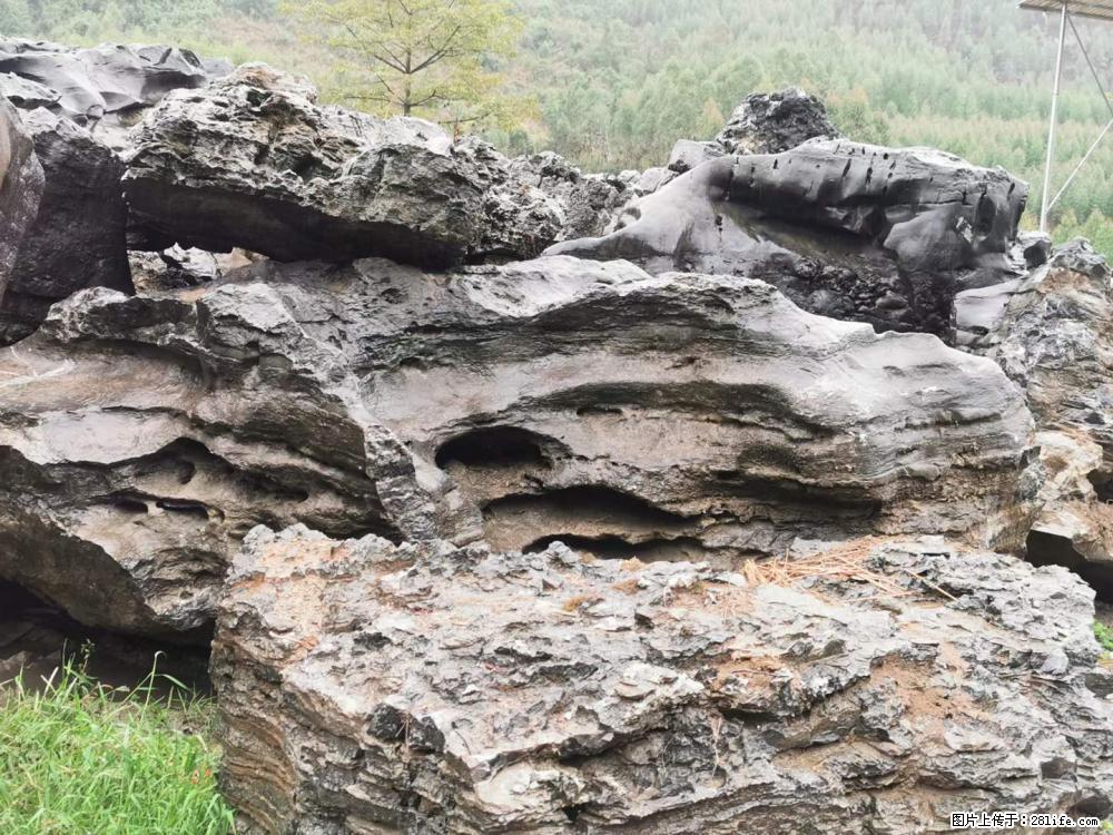 风景石、假山石大量有货，有需要的欢迎联系 - 新手上路 - 舟山生活社区 - 舟山28生活网 zhoushan.28life.net