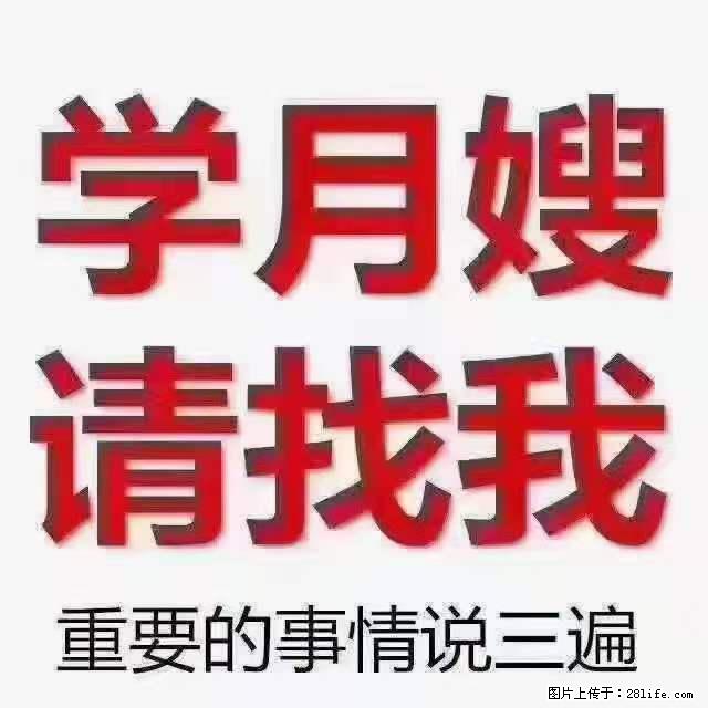 为什么要学习月嫂，育婴师？ - 其他广告 - 广告专区 - 舟山分类信息 - 舟山28生活网 zhoushan.28life.net