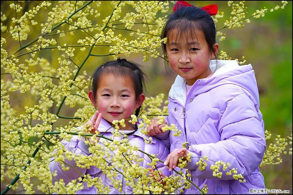 【春天，广西桂林灌阳县向您发出邀请！】米珠山前有片山苍子花在飘香 - 游山玩水 - 舟山生活社区 - 舟山28生活网 zhoushan.28life.net
