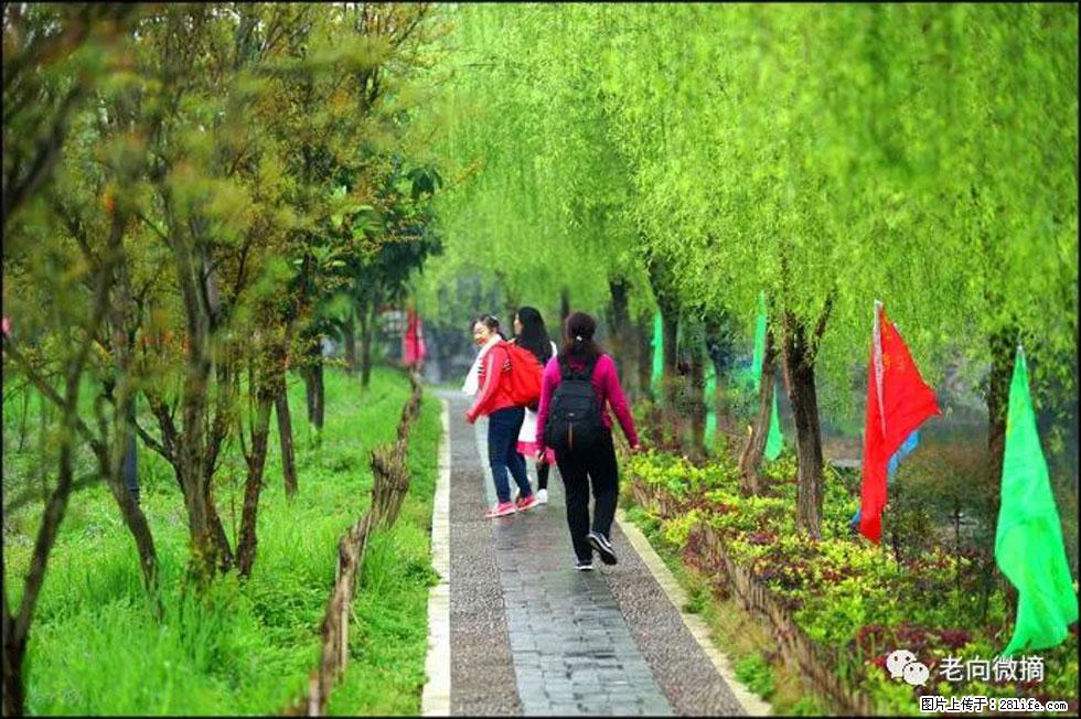 【春天，广西桂林灌阳县向您发出邀请！】江口老街又逢春 - 游山玩水 - 舟山生活社区 - 舟山28生活网 zhoushan.28life.net