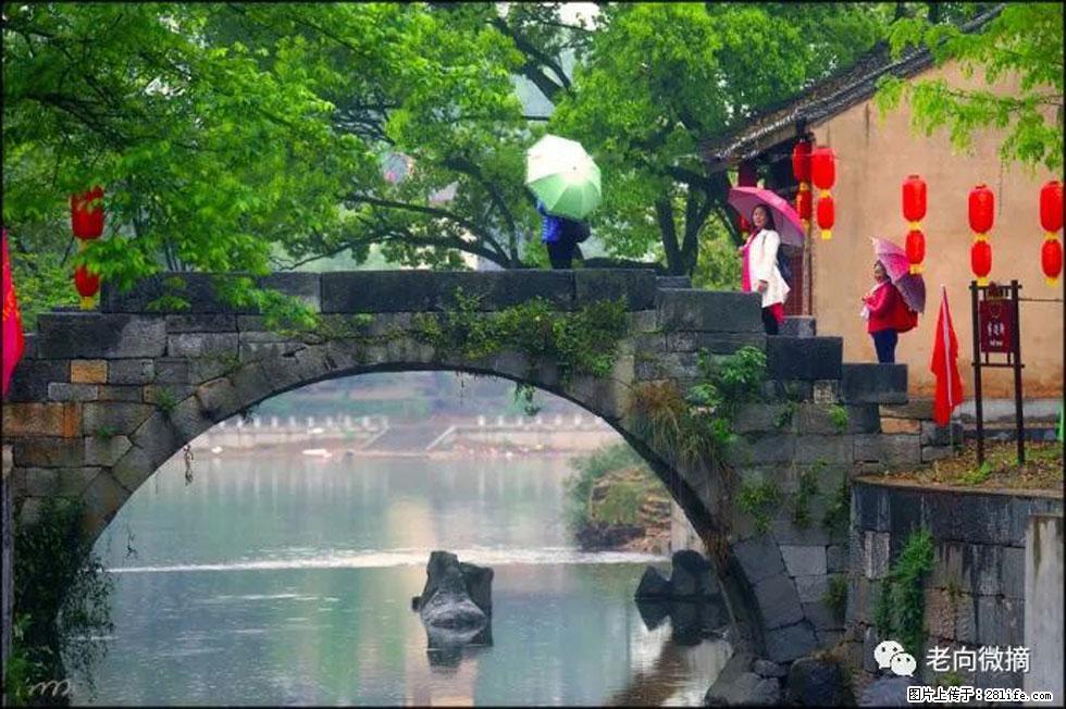 【春天，广西桂林灌阳县向您发出邀请！】江口老街又逢春 - 游山玩水 - 舟山生活社区 - 舟山28生活网 zhoushan.28life.net
