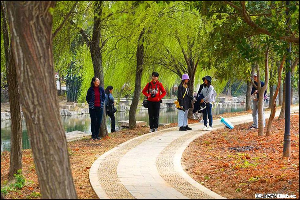 【春天，广西桂林灌阳县向您发出邀请！】江口老街又逢春 - 游山玩水 - 舟山生活社区 - 舟山28生活网 zhoushan.28life.net