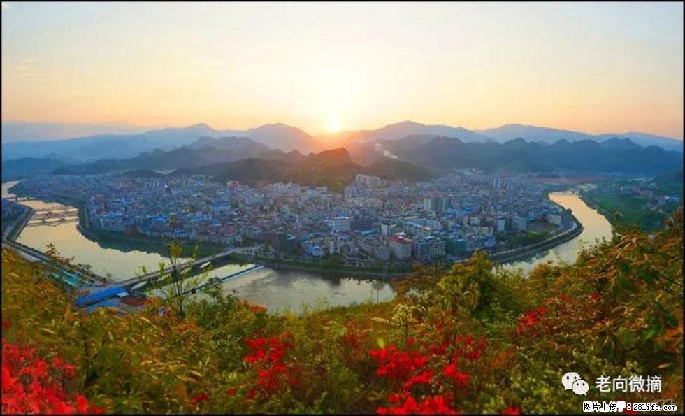 【春天,广西桂林灌阳县向您发出邀请!】登麒麟山,相约映山红 - 游山玩水 - 舟山生活社区 - 舟山28生活网 zhoushan.28life.net