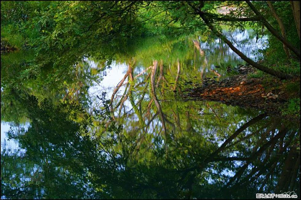 【春天,广西桂林灌阳县向您发出邀请!】熊家寨湿地公园 - 游山玩水 - 舟山生活社区 - 舟山28生活网 zhoushan.28life.net