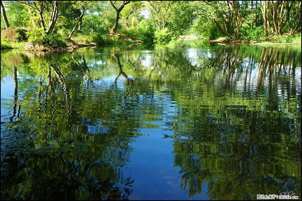 【春天,广西桂林灌阳县向您发出邀请!】熊家寨湿地公园 - 游山玩水 - 舟山生活社区 - 舟山28生活网 zhoushan.28life.net