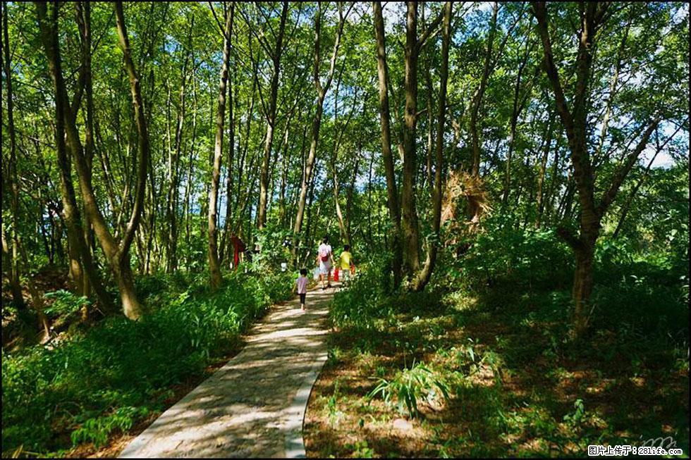 【春天,广西桂林灌阳县向您发出邀请!】熊家寨湿地公园 - 游山玩水 - 舟山生活社区 - 舟山28生活网 zhoushan.28life.net