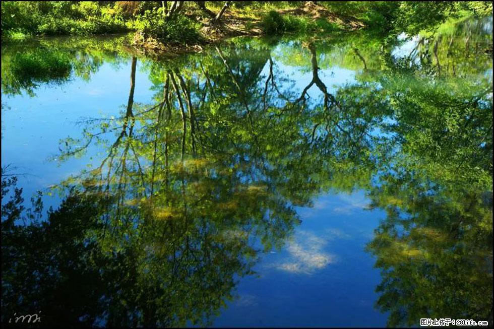 【春天,广西桂林灌阳县向您发出邀请!】熊家寨湿地公园 - 游山玩水 - 舟山生活社区 - 舟山28生活网 zhoushan.28life.net