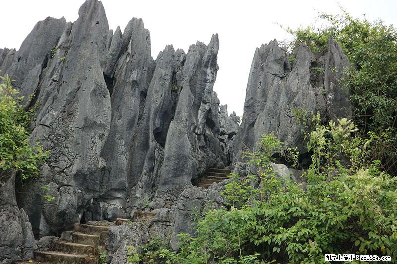 桂林旅游名城景点：灌阳文市石林 - 游山玩水 - 舟山生活社区 - 舟山28生活网 zhoushan.28life.net