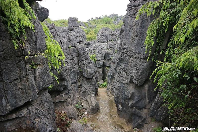 桂林旅游名城景点：灌阳文市石林 - 游山玩水 - 舟山生活社区 - 舟山28生活网 zhoushan.28life.net