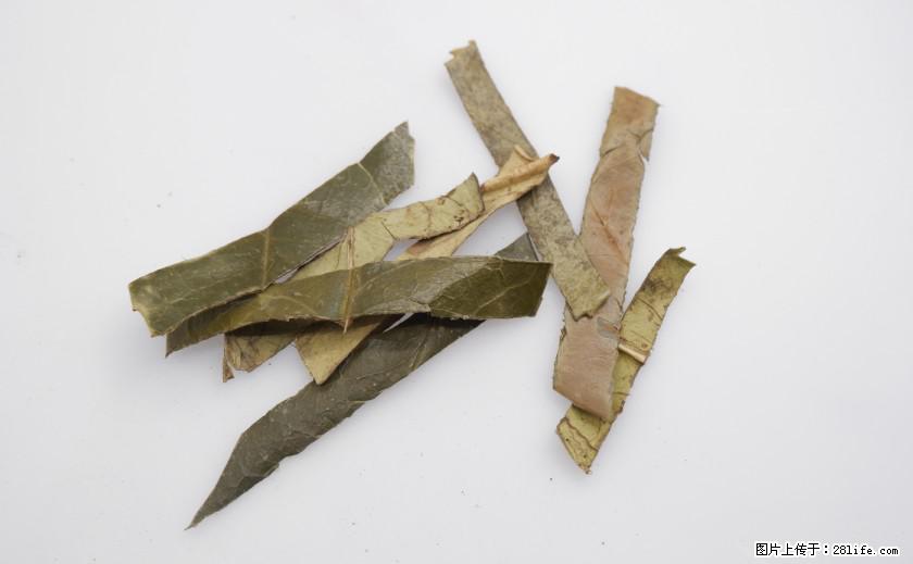 苦丁茶有哪些功效和作用 - 生活百科 - 舟山生活社区 - 舟山28生活网 zhoushan.28life.net