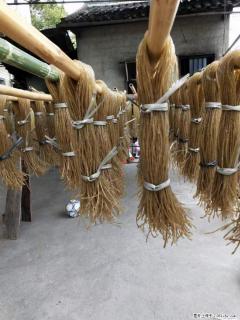 【灌阳正宗红薯粉】美女家里自己做的，干净卫生，假一赔十，价格合理，抢购电话：13737312895 - 舟山28生活网 zhoushan.28life.net