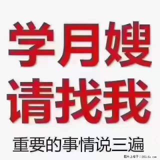 为什么要学习月嫂，育婴师？ - 舟山28生活网 zhoushan.28life.net