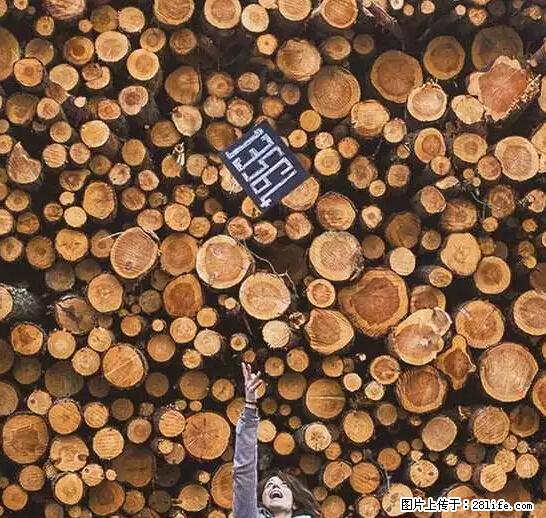辞掉工作周游世界？现在他们在洗厕所…… - 游山玩水 - 舟山生活社区 - 舟山28生活网 zhoushan.28life.net
