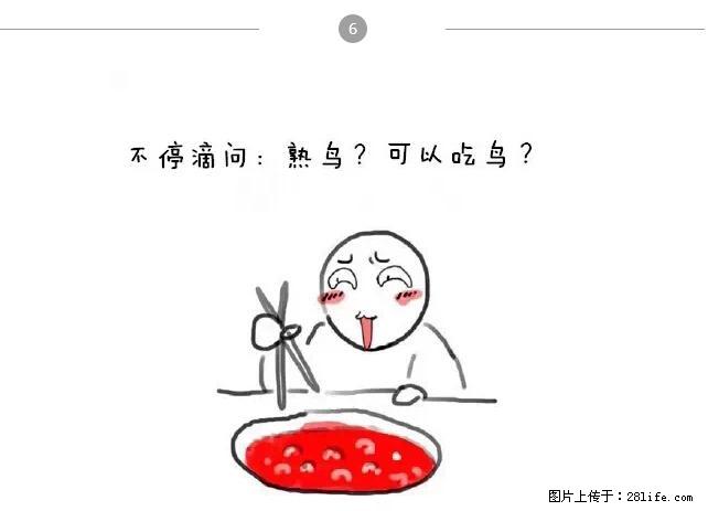 千万不要和这9种哈卵一起吃火锅！ - 美食天地 - 舟山生活社区 - 舟山28生活网 zhoushan.28life.net
