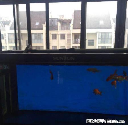 金海湾4室2厅3卫豪华装修出租 - 房屋出租 - 房屋租售 - 舟山分类信息 - 舟山28生活网 zhoushan.28life.net