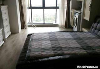 新晨颐景园 豪华装修3000月出租 - 舟山28生活网 zhoushan.28life.net