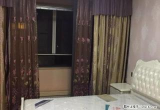 港务码头附近的和平花园电梯楼1室1卫精致装修有液晶高档小区 - 舟山28生活网 zhoushan.28life.net