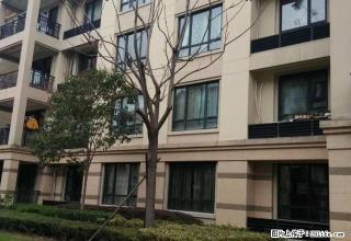 桂花城三室两厅一卫，精装修4500元 - 舟山28生活网 zhoushan.28life.net