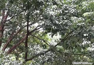 邻城故事138平方简单装修2200元， - 舟山28生活网 zhoushan.28life.net