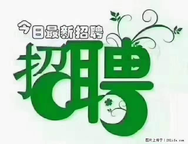 【招聘摄像师】待遇：试用期6000元/月，转正7000元/月+五险一金+餐补+节日福利+奖金 - 其他招聘信息 - 招聘求职 - 舟山分类信息 - 舟山28生活网 zhoushan.28life.net