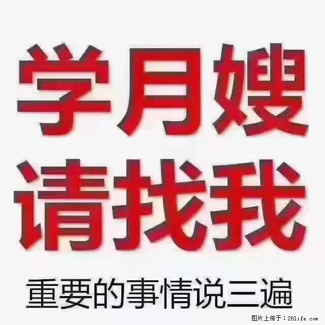 【招聘】月嫂，上海徐汇区 - 职场交流 - 舟山生活社区 - 舟山28生活网 zhoushan.28life.net