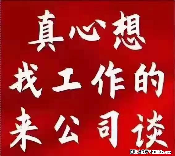 【上海】国企，医院招两名男保安，55岁以下，身高1.7米以上，无犯罪记录不良嗜好 - 职场交流 - 舟山生活社区 - 舟山28生活网 zhoushan.28life.net