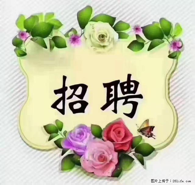 【招聘】住家育儿嫂，上户日期：4月4日，工作地址：上海 黄浦区 - 职场交流 - 舟山生活社区 - 舟山28生活网 zhoushan.28life.net