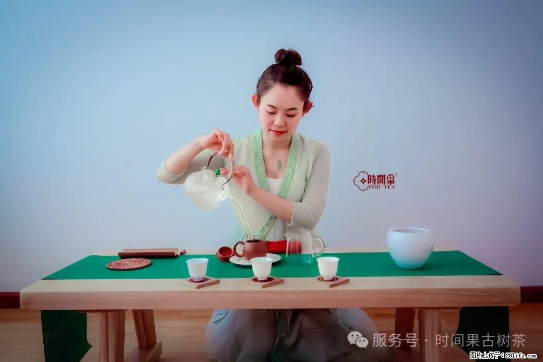 时间果百年古树龙珠普洱生茶 - 购物交流 - 舟山生活社区 - 舟山28生活网 zhoushan.28life.net