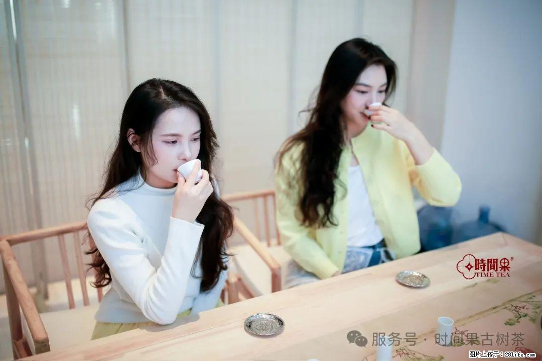 时间果百年古树龙珠普洱生茶 - 购物交流 - 舟山生活社区 - 舟山28生活网 zhoushan.28life.net