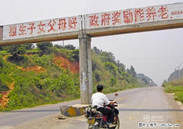 全面两孩政策计划明年元旦起实施 夫妻可延长生育假 - 舟山生活资讯 - 舟山28生活网 zhoushan.28life.net