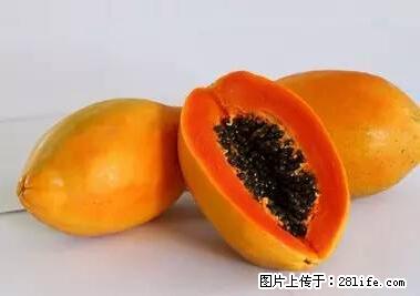 晕车、脚气、牙齿变黄、皮肤粗糙?学会这些三分钟搞定! - 舟山生活资讯 - 舟山28生活网 zhoushan.28life.net