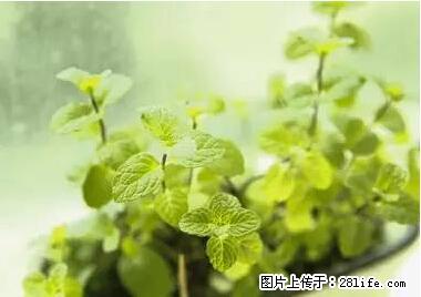 晕车、脚气、牙齿变黄、皮肤粗糙?学会这些三分钟搞定! - 舟山生活资讯 - 舟山28生活网 zhoushan.28life.net
