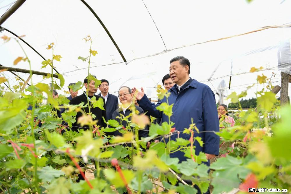 习近平赴广西考察调研 - 舟山生活资讯 - 舟山28生活网 zhoushan.28life.net