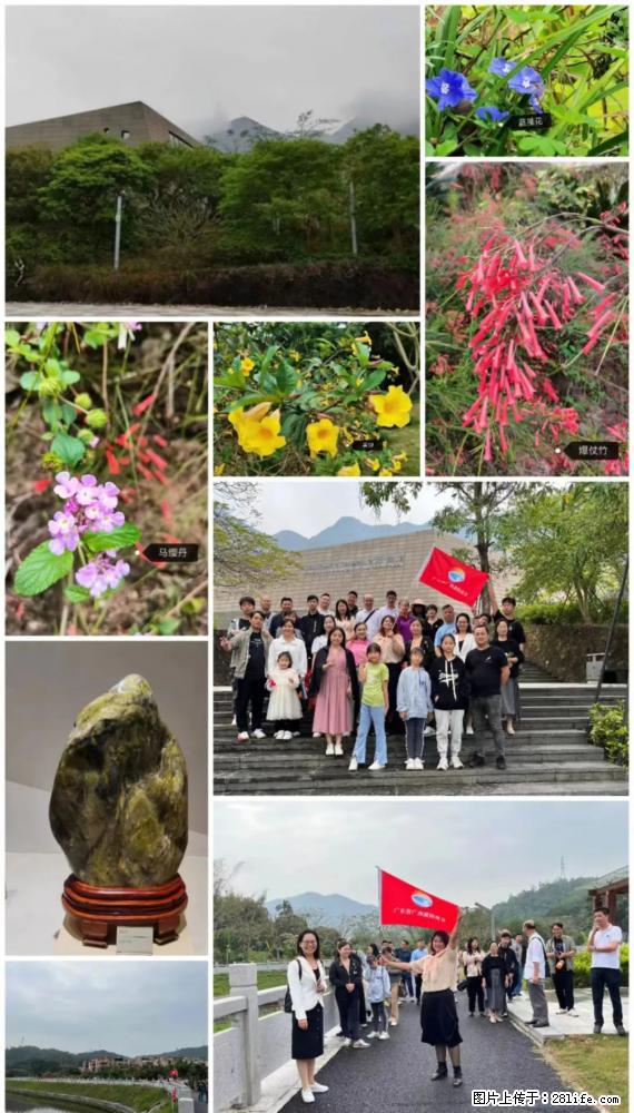 “粤灌文化 美好生活”油茶文化主题活动在广东深圳成功举办 - 舟山生活资讯 - 舟山28生活网 zhoushan.28life.net