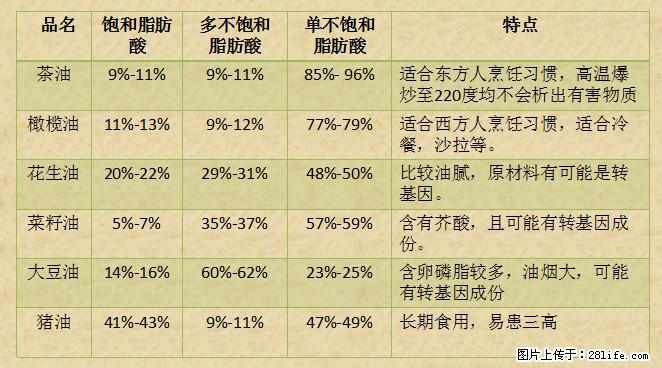 揭秘茶油的5大核心营养成分！被称为人体健康的“守护盾”！ - 舟山生活资讯 - 舟山28生活网 zhoushan.28life.net