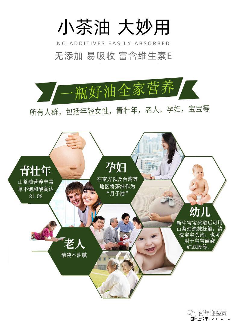 世界没有真相，只有认知，最好的食用油是中国的山茶油！ - 舟山生活资讯 - 舟山28生活网 zhoushan.28life.net