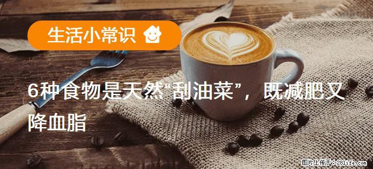 【生活小常识】6种食物是天然“刮油菜”，既减肥又降血脂 - 舟山生活资讯 - 舟山28生活网 zhoushan.28life.net