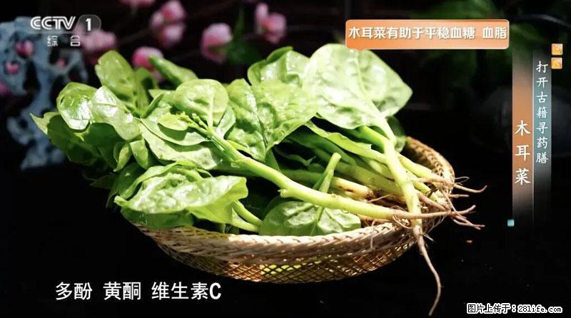 比牛奶补钙还厉害！凉血解毒、稳血糖...这菜冬天必吃，很多人却当草 - 舟山生活资讯 - 舟山28生活网 zhoushan.28life.net