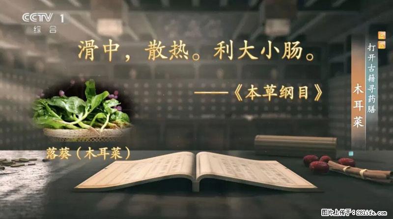 比牛奶补钙还厉害！凉血解毒、稳血糖...这菜冬天必吃，很多人却当草 - 舟山生活资讯 - 舟山28生活网 zhoushan.28life.net