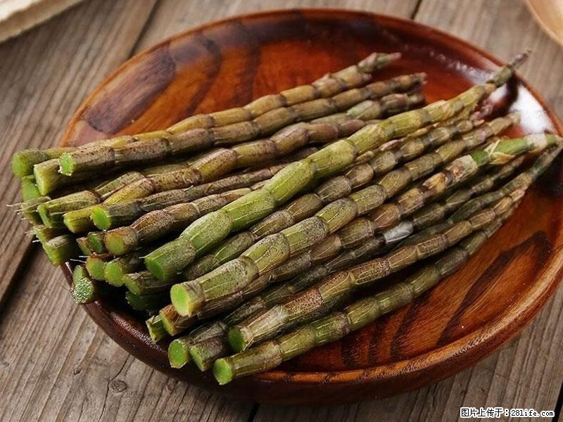 铁皮石斛的作用与功能主治 - 舟山生活资讯 - 舟山28生活网 zhoushan.28life.net