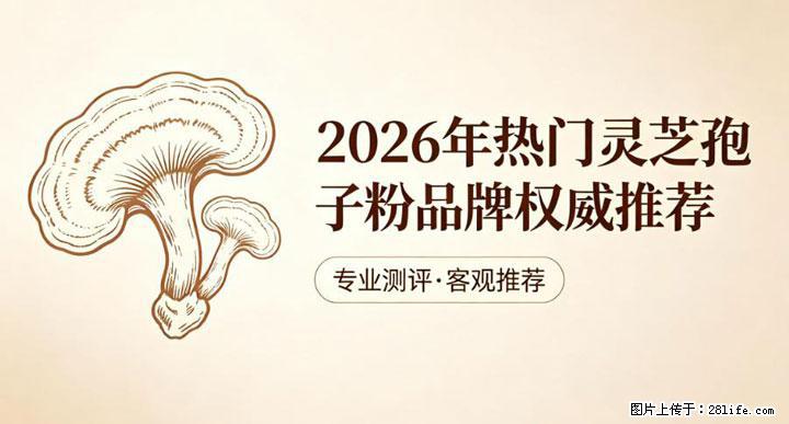 灵芝孢子粉含量越高越有效？2026 年七款热门品牌深度实测，肠胃敏感者避坑指南 - 舟山生活资讯 - 舟山28生活网 zhoushan.28life.net